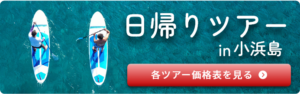 日帰りツアーin小浜島